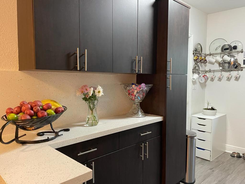 Brazilian Home Coral Gables Bagian luar foto